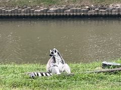 -上海野生动物园