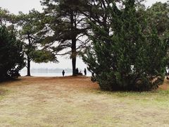 -东湖落雁景区