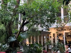 -Fern Forest Cafe