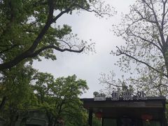 -WeLope紫金山探险公园