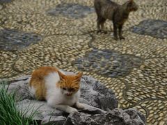 -采石矶景区