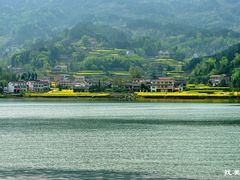 -千岛湖石林