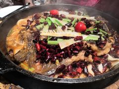 -老板恋上鱼(印象城店)