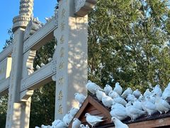 -天津妈祖文化园