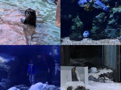 -郑州海洋馆