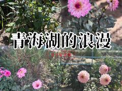 -青海湖国家重点风景名胜区