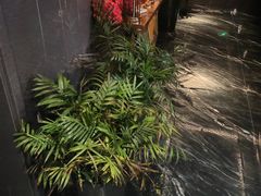 -唐宫足道·SPA·住宿24H会所(木渎店)