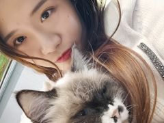 -猫色咖啡·猫咖