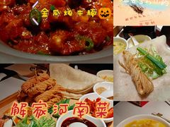 -解家河南菜(金水路店)