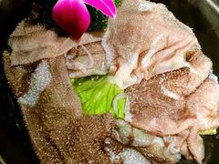 屠场鲜毛肚-卤校长老火锅毕节店(招商花园城店)