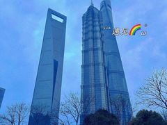-陆家嘴中心绿地
