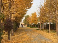 -意大利农场度假村