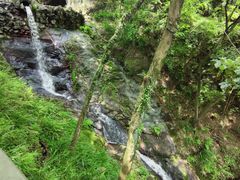 -宁波市保国寺古建筑博物馆