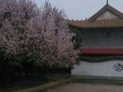 android_upload_pic-蔡明园广场-御园寺