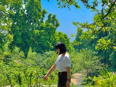 -南山植物园