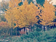 -长辛店二七公园