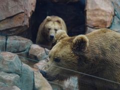 -杭州长乔极地海洋公园