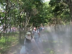 -帽儿山风景区