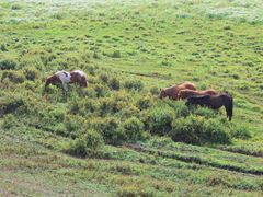 -塞罕坝国家级自然保护区