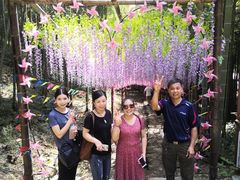 -众神白水涧景区