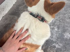 -茶米人台湾料理·精致快简餐