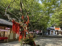 -青檀寺景区
