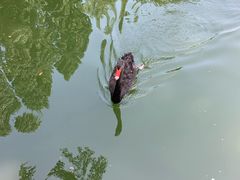 -钓鱼台国宾馆