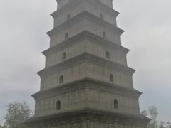 -思念果岭悦温泉