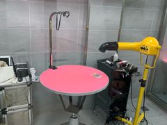 -宠福鑫康馨动物医院·骨科·眼科