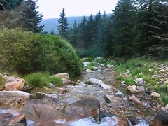 -芦芽山旅游度假区