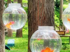 -HERRE·FARM 赫尔露营农场·团建聚会包场