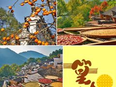 -篁岭景区