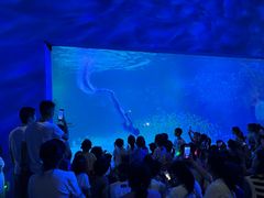 -常州海昌海洋探索馆