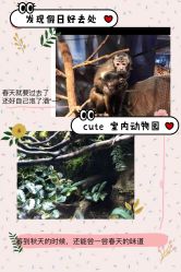 -酷嗒动物文化乐园(cutezoo西溪乐天城店)