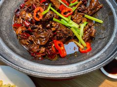 铁锅炖大鹅-上关雪東北菜(中房金谊店)