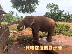 -海南热带野生动植物园