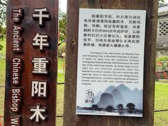 -蔡家宅