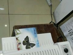 -上海昆虫博物馆