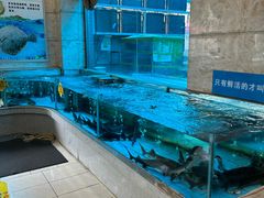 -香融府·烤鸭·家常菜(马家堡路店)