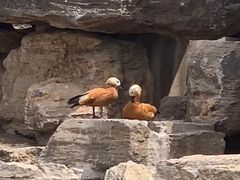 -太原动物园