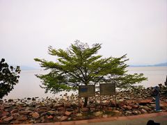 -深圳湾公园(南山区)