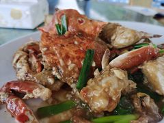 -七鲜渔港美食餐厅(巽寮湾海景店)