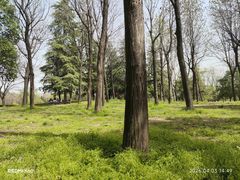 -洨河生态公园