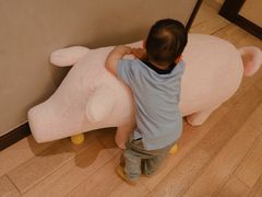 -上海浦东嘉里大酒店
