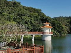 -广州市白云山风景名胜区