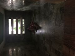 -御池园(顾村公园店)