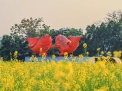 -光明小镇欢乐田园