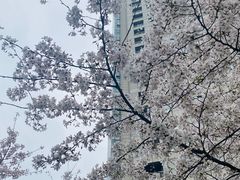 -中国银行(上海市新闸路支行)