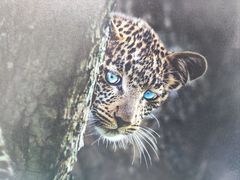 -罗红摄影艺术馆