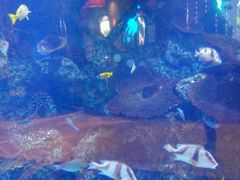 -横琴湾水世界